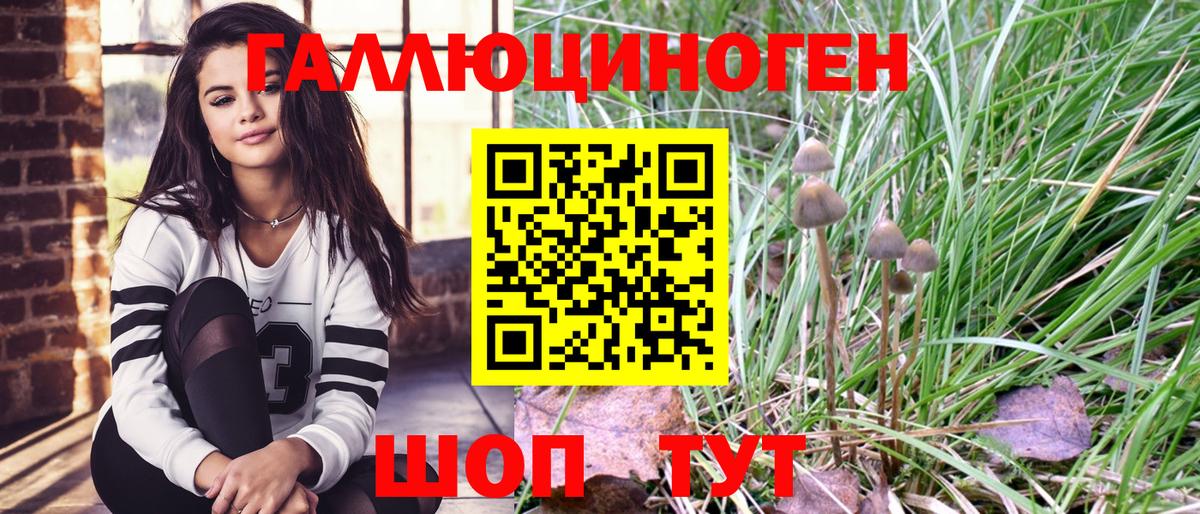 сколько стоит  Псилоцибиновые грибы Magic Shrooms  Вход с VPN  Казань  Галлюциногенные грибы Cubensis 