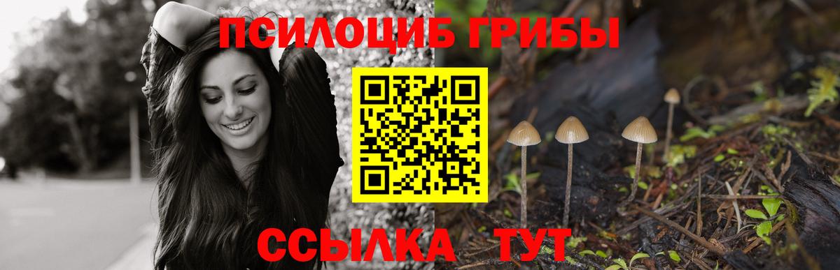 Галлюциногенные грибы Magic Shrooms Казань
