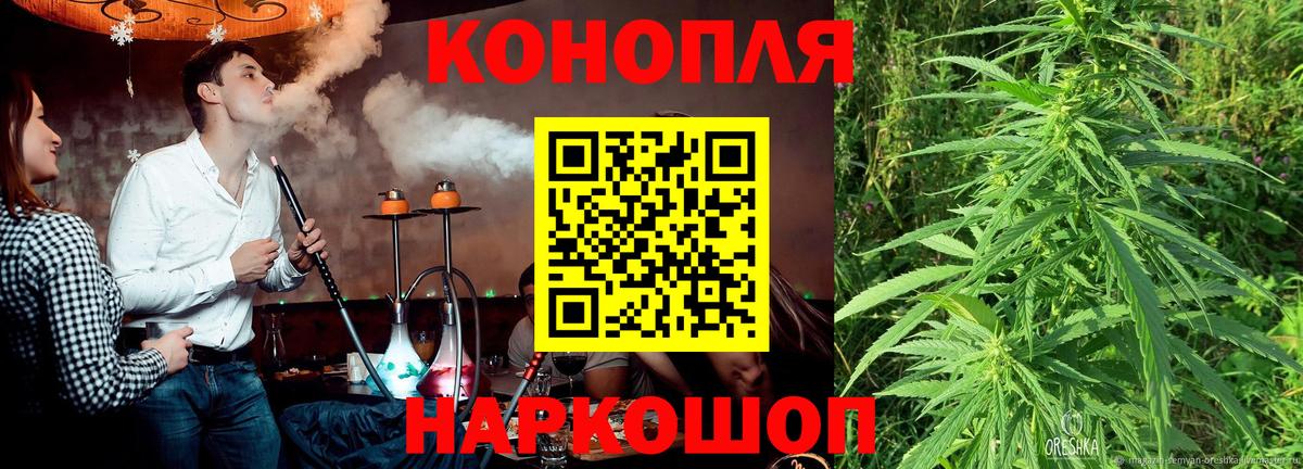 Бошки Шишки SATIVA & INDICA  Вход с VPN  Бошки марихуана марихуана  Казань  МАРИХУАНА SATIVA & INDICA 